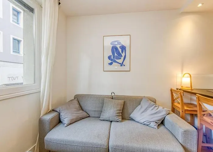 Centre Grenoble, Charmant, Avec Une Chambre